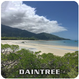 Daintree
